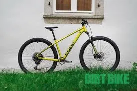 Preferatul clienților Cube Analog 2022
